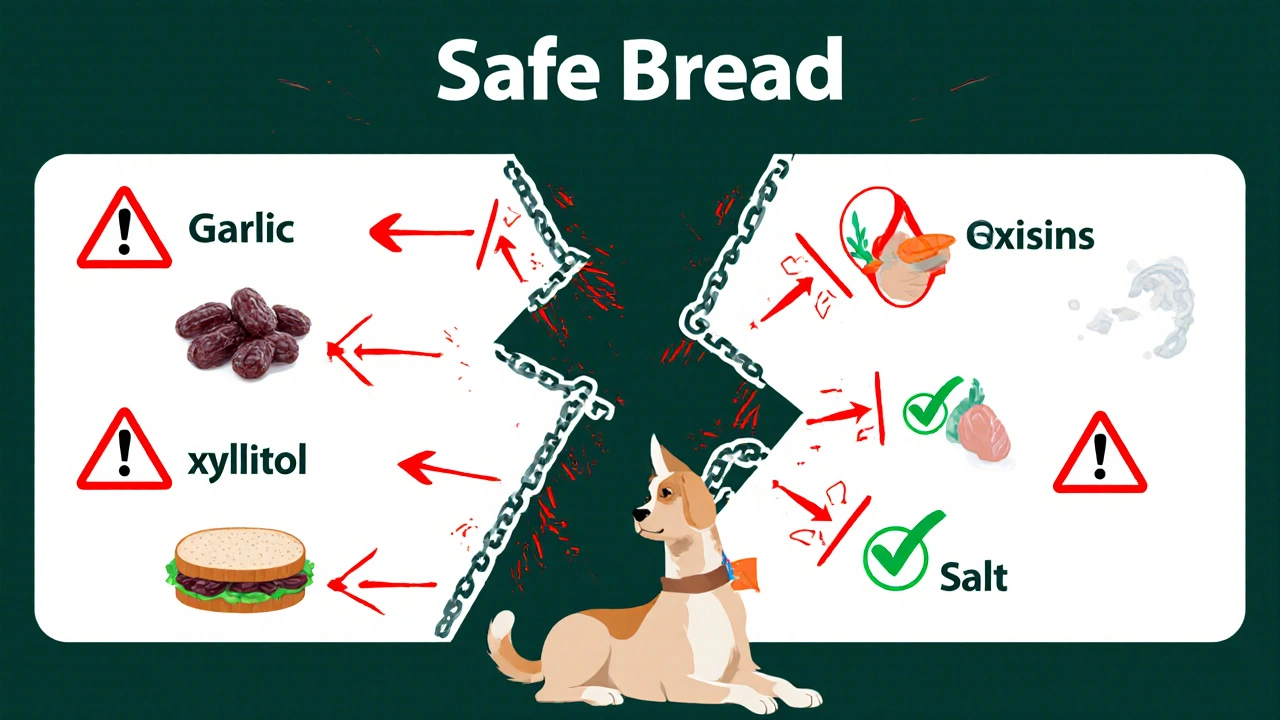Схема с предупреждениями о вредных добавках в хлебе для собак и безопасных альтернативах.